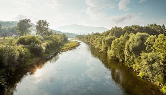 Rzeka Raba