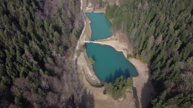 Rezerwat przyrody Las Gościbia w Harbutowicach