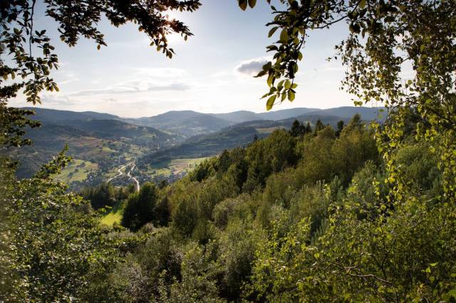 Panorama z Góry Zębalowa (szczyt Kalwarii Tokarskiej) w Tokarni