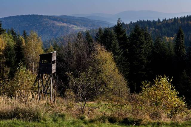 Panorama z Jamrozówki pod Trzebuńską Górą w Jasienicy