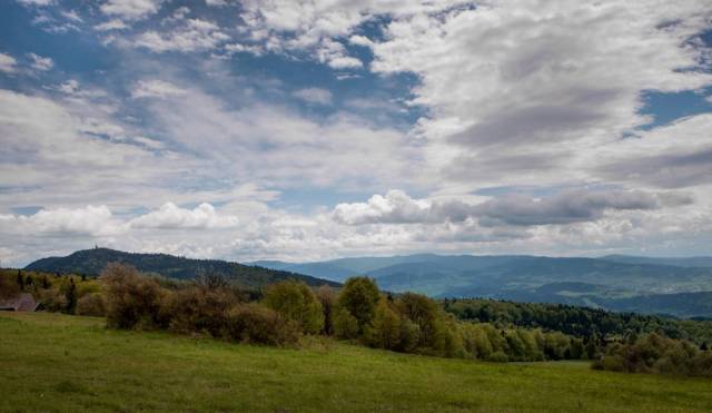 Panorama z Polany Surówki w drodze na Luboń Wielki w Tenczynie