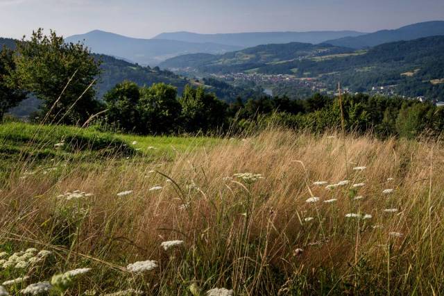 Panorama z Roli Swachtowo w Stróży