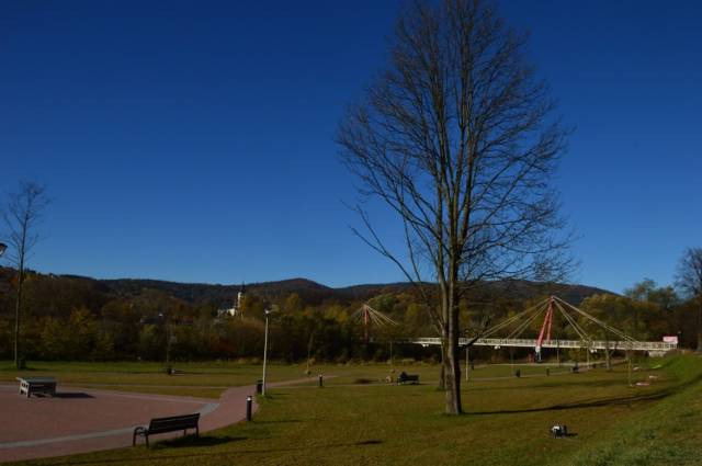 Park nad Rabą w Pcimiu