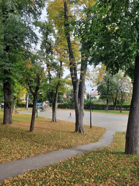 Park Jordana / Planty w Myślenicach