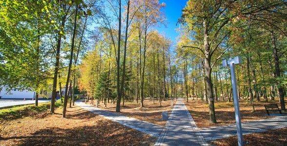 Park Miejski im. Jana Izydora Sztaudyngera na Zarabiu w Myślenicach