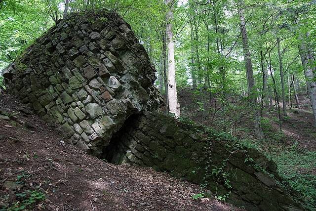 Rezerwat przyrody Zamczysko nad Rabą na Zarabiu w Myślenicach